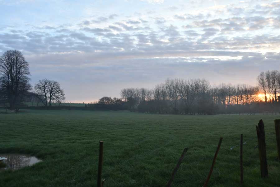 Omgeving