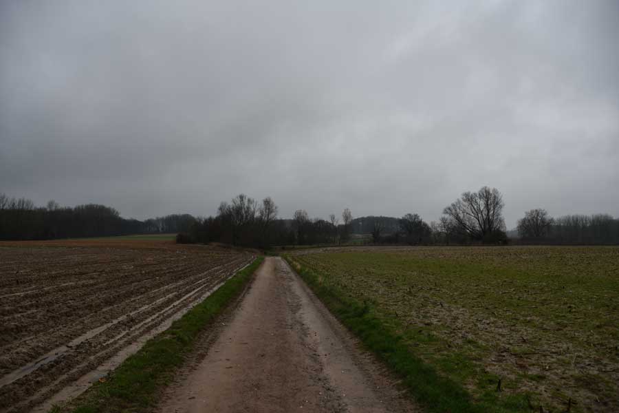 Omgeving