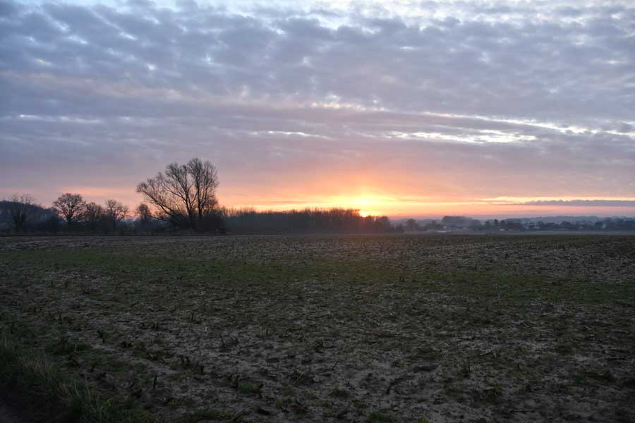 Omgeving